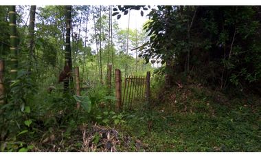 Se Vende Finca Sobre la Vereda Canaan