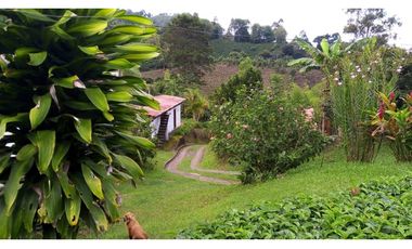 Se Vende Finca Sobre la Vereda Canaan