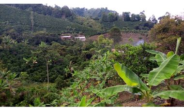 Se Vende Finca Sobre la Vereda Canaan