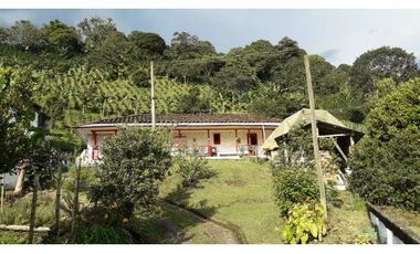 Se Vende Finca Sobre la Vereda Canaan