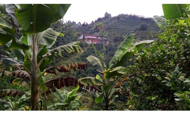 Se Vende Finca Sobre la Vereda Canaan