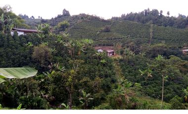 Se Vende Finca Sobre la Vereda Canaan