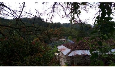 Se Vende Finca Sobre la Vereda Canaan