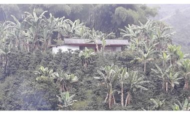 Se Vende Finca Sobre la Vereda Canaan