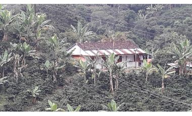 Se Vende Finca Sobre la Vereda Canaan