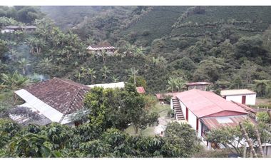 Se Vende Finca Sobre la Vereda Canaan