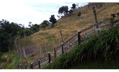 Se Vende Finca Sobre la Vereda Canaan