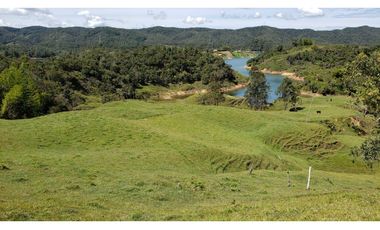 finca en venta el Peñol Antioquia , para parcelación 34 HA SRM