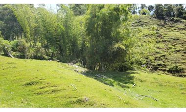 finca en venta el Peñol Antioquia , para parcelación 34 HA SRM
