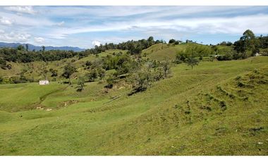 finca en venta el Peñol Antioquia , para parcelación 34 HA SRM