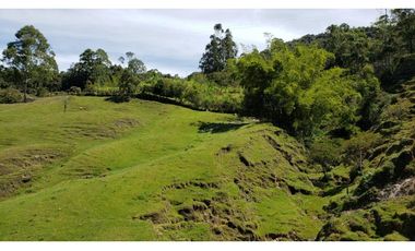 finca en venta el Peñol Antioquia , para parcelación 34 HA SRM
