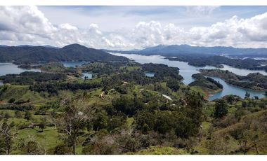 finca en venta el Peñol Antioquia , para parcelación 34 HA SRM