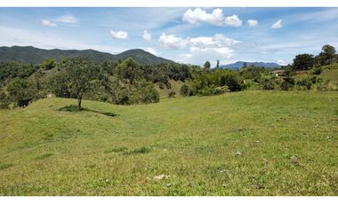 finca en venta el Peñol Antioquia , para parcelación 34 HA SRM