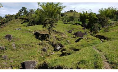 finca en venta el Peñol Antioquia , para parcelación 34 HA SRM