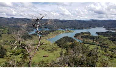 finca en venta el Peñol Antioquia , para parcelación 34 HA SRM