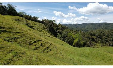 finca en venta el Peñol Antioquia , para parcelación 34 HA SRM
