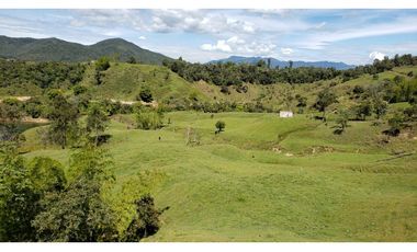 finca en venta el Peñol Antioquia , para parcelación 34 HA SRM