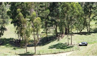 finca en venta el Peñol Antioquia , para parcelación 34 HA SRM