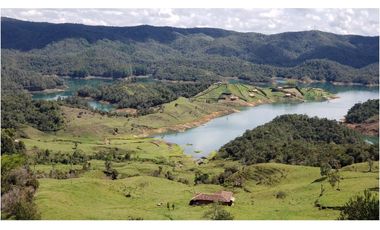 finca en venta el Peñol Antioquia , para parcelación 34 HA SRM