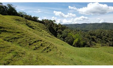 finca en venta el Peñol Antioquia , para parcelación 34 HA SRM