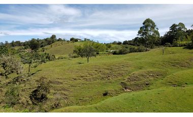 finca en venta el Peñol Antioquia , para parcelación 34 HA SRM