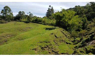 finca en venta el Peñol Antioquia , para parcelación 34 HA SRM