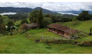 finca en venta el Peñol Antioquia , para parcelación 34 HA SRM
