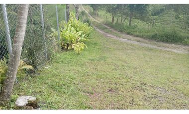 SE VENDE FINCA HOTEL VIA CIRCASIA-MONTENEGRO