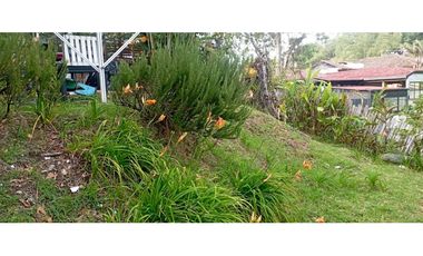 SE VENDE LOTE URBANO A UNA CUADRA DEL PARQUE EN SALENTO