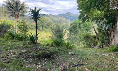 SE VENDE LOTE URBANO A UNA CUADRA DEL PARQUE EN SALENTO