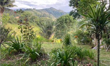 SE VENDE LOTE URBANO A UNA CUADRA DEL PARQUE EN SALENTO