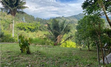 SE VENDE LOTE URBANO A UNA CUADRA DEL PARQUE EN SALENTO