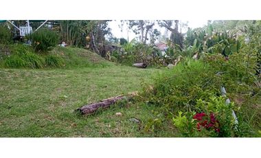 SE VENDE LOTE URBANO A UNA CUADRA DEL PARQUE EN SALENTO