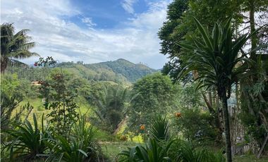 SE VENDE LOTE URBANO A UNA CUADRA DEL PARQUE EN SALENTO