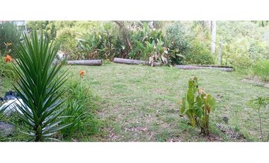 SE VENDE LOTE URBANO A UNA CUADRA DEL PARQUE EN SALENTO