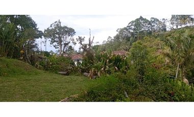 SE VENDE LOTE URBANO A UNA CUADRA DEL PARQUE EN SALENTO