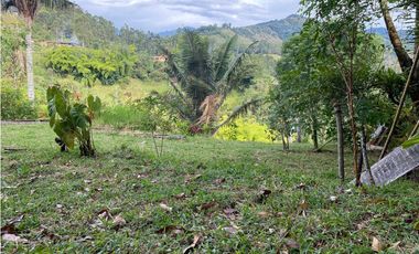 SE VENDE LOTE URBANO A UNA CUADRA DEL PARQUE EN SALENTO