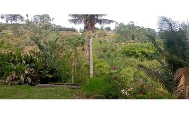 SE VENDE LOTE URBANO A UNA CUADRA DEL PARQUE EN SALENTO