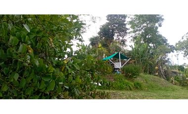 SE VENDE LOTE URBANO A UNA CUADRA DEL PARQUE EN SALENTO