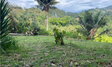 SE VENDE LOTE URBANO A UNA CUADRA DEL PARQUE EN SALENTO