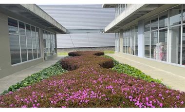 Oficina Sabana Norte