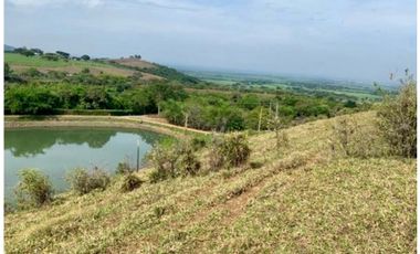 Lote en venta en condominio campestre Lagos de Maracaibo Palmira Valle