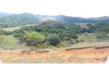 Se vende lote en condominio Lagos de Maracaibo Tienda Nueva Palmira