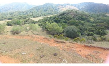 Se vende lote en condominio Lagos de Maracaibo Tienda Nueva Palmira