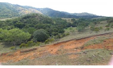 Se vende lote en condominio Lagos de Maracaibo Tienda Nueva Palmira