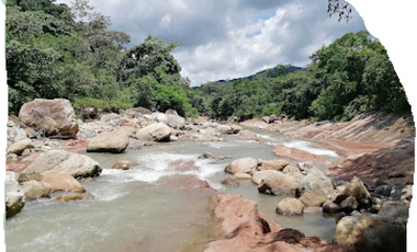 HERMOSA FINCA EN CASANARE ENTRE AGUAZUL Y YOPAL RIO CHARTE