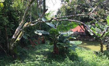 Casa Finca en venta en Mesitas del Colegio