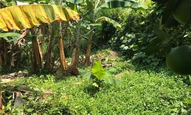 Casa Finca en venta en Mesitas del Colegio