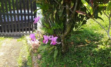 Casa Finca en venta en Mesitas del Colegio