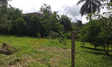 Casa Finca en venta en Mesitas del Colegio